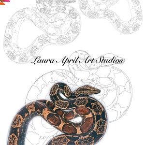 May include: A black and brown snake curled up on a white background. The snake is outlined in black, and the background is filled with a pattern of dots.