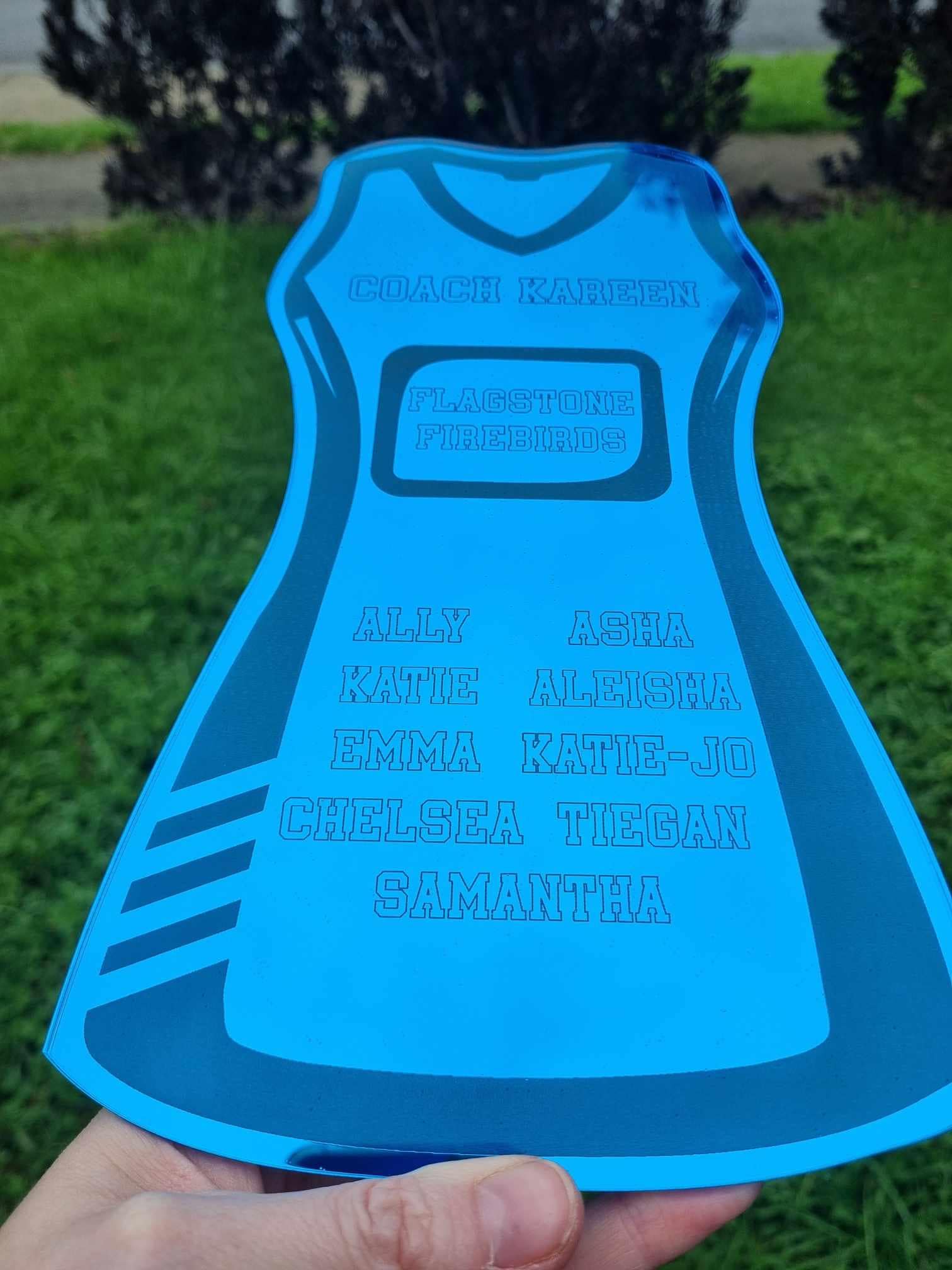 Netball Coaches Gift, Coach Plaque, Netball Team Gift, Engraved Team