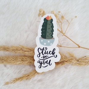Stuck on you Cactus wasserfester Sticker glossy | Cute Cactus Love Sticker | Plantlover Gift Sticker | Laptop Tumbler Planner Sticker