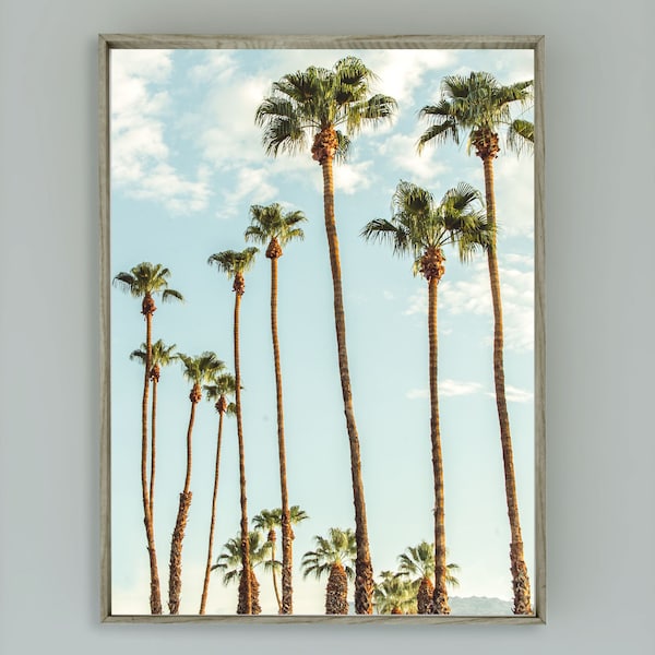 Tall Palm Trees Southern California Wall Art Palm Springs Digital Photo Download Desert Palm Trees Coachella Valley Airbnb Decor