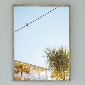 Grayton Beach Printable Wall Art 30A Airbnb Decor Photography Print Palm Tree Florida Original Photography Tropical DIGITAL ART PRINT