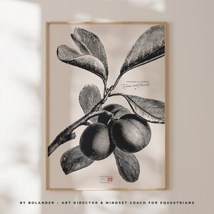 Vintage, Botanical, Latin, Quote  | Scandinavian, Neutral, Boho | 1 poster | Wall Art | Digital Download |  Gift, Birthday | Minimalistic