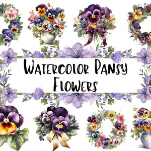 Acuarela Pansy Flower Clipart, Pansy Floral Ramos, Corona Acuarela Clipart PNG Gráficos Descarga instantánea para uso comercial + BONIFICACIÓN