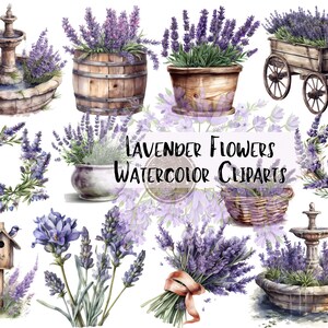 Lavendel Blumen Aquarell Cliparts Garten Frühling Blumen Wildblumen Provence Floral Frühling PNG Grafiken Sofortiger Download für kommerzielle Nutzung