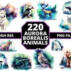 オーロラ 水彩 動物 クリップアート ベビーシャワー 保育園 アート 壁飾り 森 オーロラ 動物 バンドル デジタル + 無料ボーナス