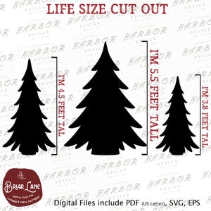May include: Black silhouette cutouts of three Christmas trees, each with a different height. The tallest tree is 5.5 feet tall, the middle tree is 4.5 feet tall, and the smallest tree is 3.8 feet tall. Text at the top reads "LIFE SIZE CUT OUT".