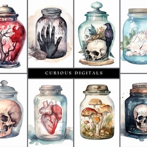 Specimen Jars - Gothic - Oddities - Watercolor Style - Clip Art - Digital Art Download - Stock Photo - PNG - Commercial Use - AI generated