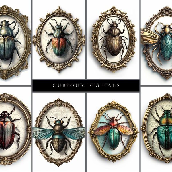 Framed Entomological Beetle Art - Oddities - Realism - Clip Art - Digital Art Download - Stock Photo - PNG - Commercial Use -AI generated