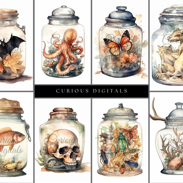 Specimen Jars - Gothic - Oddities - Natural History Specimen - Victorian - Watercolor Style - Clip Art - Digital Art Download - AI generated