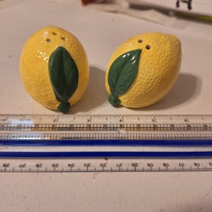 Zesty Yellow Lemon Salt and Pepper Shaker Set Ceramic