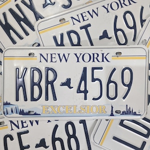 NEW YORK EXCELSIOR Registreringsskylt ~ 1 med slumpmässiga bokstäver och siffror Inga par ~ Ej anpassningsbar ~ Perfekt present Mancave Garage Verkstad Dekoration