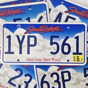 SOUTH DAKOTA License Plate - Free Shipping in USA - 1 w/ Random Letters & Numbers - Great Gift Mancave Decor Mt. Rushmore Graphic