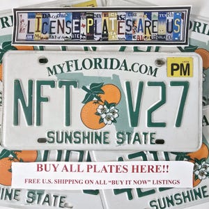 Placa de matrícula permanente de Florida - Envío gratis en EE. UU. - 1 con letras y números aleatorios. Estado del Sol