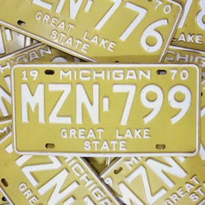 MICHIGAN License Plate - Free Shipping in USA - 1 Vintage 1970 Michigan Plate w/ MZN & Random Numbers