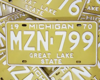 MICHIGAN-nummerplaat - gratis verzending in de VS - 1 vintage Michigan-bord uit 1970 met MZN en willekeurige cijfers