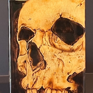 May include: A rectangular, framed artwork featuring a detailed, sepia-toned skull illustration. The skull's features are highlighted with dark brown shading, creating a three-dimensional effect. The artwork is encased in a dark frame.