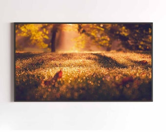 Samsung Frame TV-kunst | Herfstcollectie nr. 1 FrameTV | Herfstmijmering | Reis door de herfst | DIGITALE DOWNLOAD