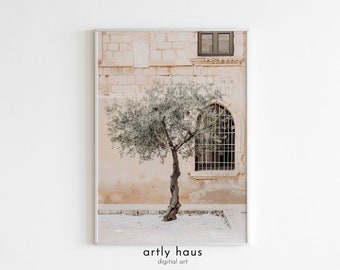 May include: A framed wall art print featuring a photograph of a gnarled olive tree standing in front of a beige stone building with a white gravel ground. The building has a rectangular window and an arched window with a metal security grate.
