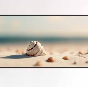 May include: A spiral seashell with white and brown horizontal bands resting on a sandy beach. The shell is positioned in the foreground, casting a distinct shadow on the light-colored sand, with a blurred horizon line visible in the distance.