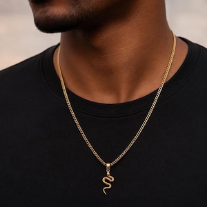 Può includere: Una collana in metallo color oro con un delicato ciondolo a forma di serpente sospeso a una classica catena a maglia gourmette. Il ciondolo presenta una forma serpentina testurizzata con una coda curva, appeso a un semplice anello.