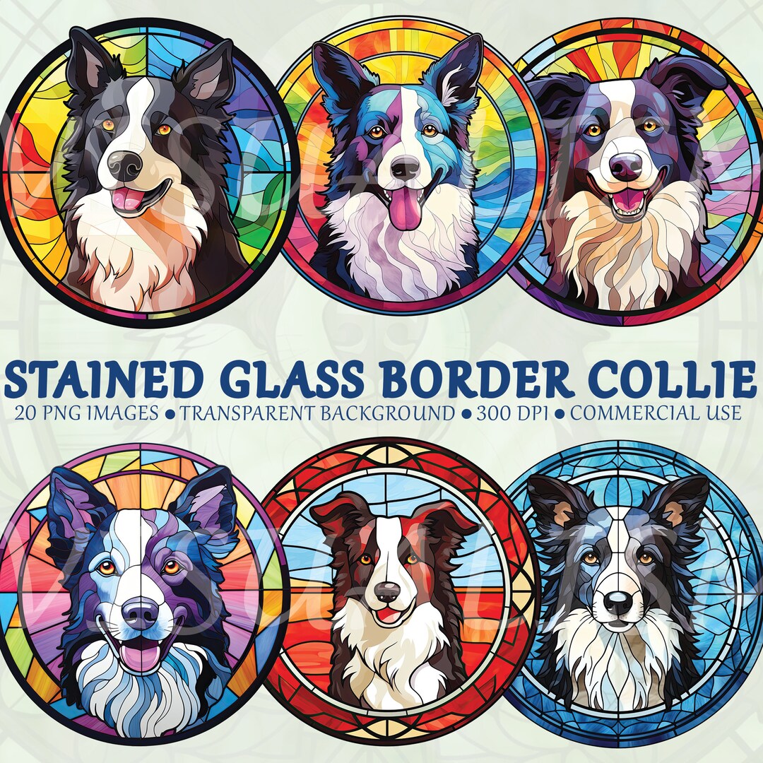 20 Stained Glass Border Collie Pngs for Stained Glass Window Hangings