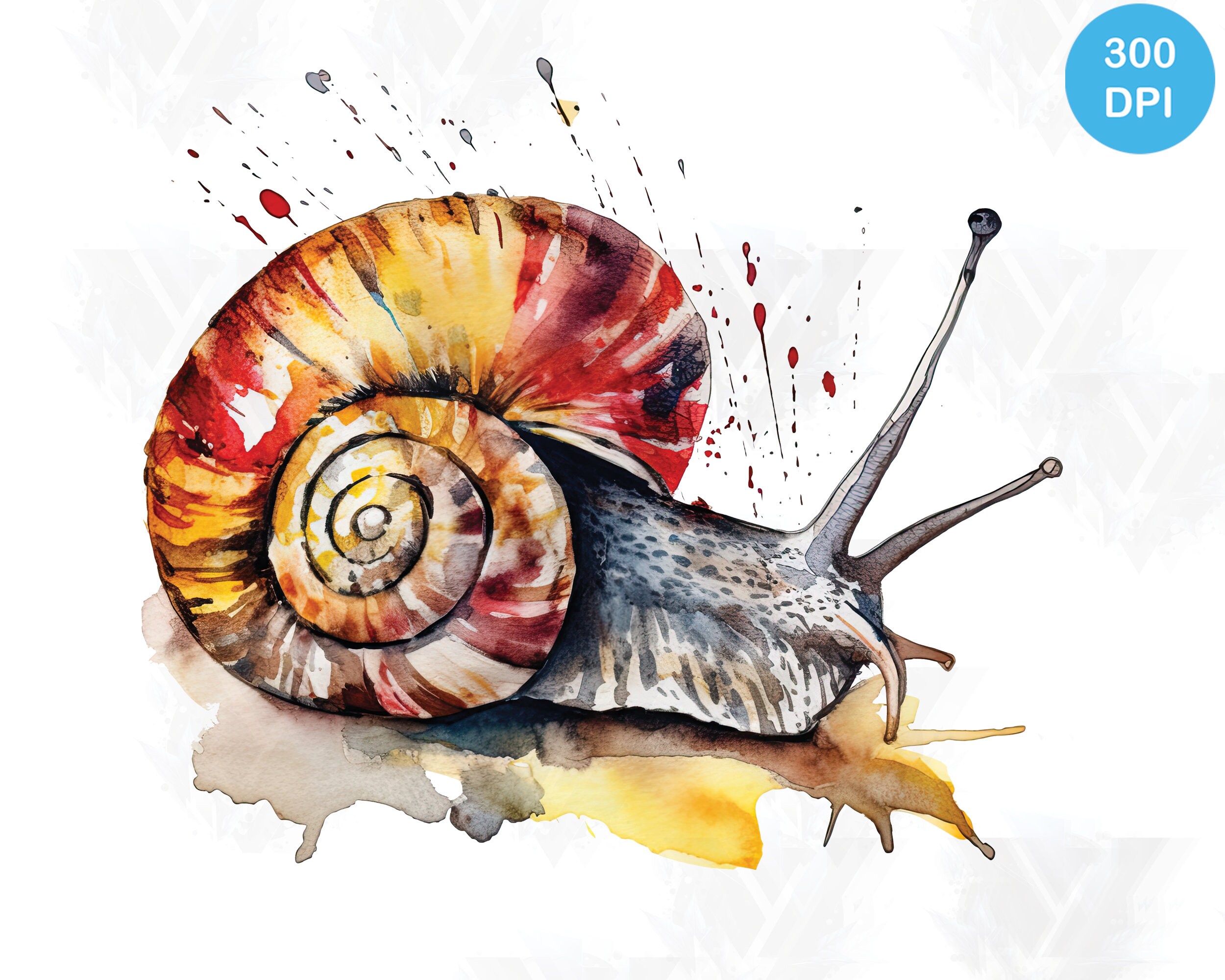 SNAIL WATERCOLOR CLIPART, Digital Downloads, Snail Clipart, Snail Png