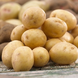 May include: A pile of yellow potatoes, some with brown spots, on a rustic wooden surface.
