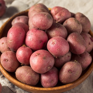 May include: A wooden bowl filled with raw, organic red potatoes. The potatoes are small, round, and have a vibrant red skin. They are clustered together, showcasing their natural texture and color.