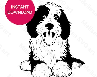 Bernedoodle SVG portrait dog print svg - pet silhouette cricut & laser machine cut file for dog lover - png image - dog mom clipart