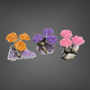 Gem trees (amethyst, citrine and rose quartz).