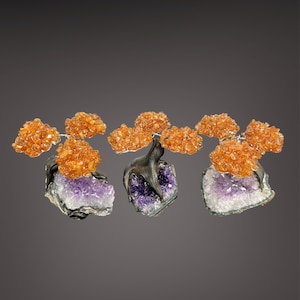Gem trees (citrine).