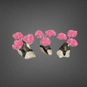 Gem trees (rose quartz).