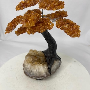 Könnte beinhalten: Dekorative Kristallbaumskulptur. Der Baum hat einen schwarzen Stamm und Drahtäste, mit bernsteinfarbenen Kristallclustern als Blätter. Die Basis ist eine Geode mit weißem und braunem Äußeren, geeignet zur Dekoration.