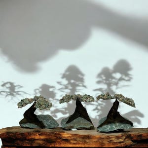Puede incluir: Tres bonsáis en miniatura, cada uno con un tronco oscuro y curvado y una copa de pequeñas piedras verdes. Los árboles están sobre rocas grises y una base de madera, con sombras de árboles en el fondo blanco.
