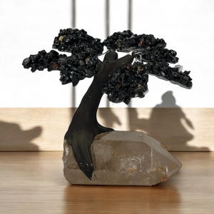 Puede incluir: Una escultura artesanal de un árbol bonsái. El tronco del árbol es oscuro y el follaje está hecho de pequeñas piedras negras. El árbol está montado sobre una gran base de cristal de cuarzo transparente. La escultura se exhibe sobre una superficie de madera.