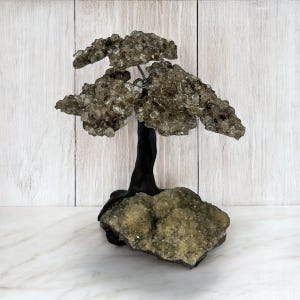 Tree of Protection – Smoky Quartz Gem Tree with Citrine Base | Grounding, Clarity & Positive Energy.