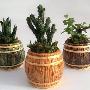 Könnte beinhalten: Drei kleine fassförmige Pflanzgefäße, die jeweils eine andere Sukkulente enthalten. Die Pflanzgefäße sind mit einem Holzmaserungseffekt bemalt und mit goldenen Bändern akzentuiert. Zu den Pflanzen gehören ein Kaktus, eine Sukkulente mit spitzen Blättern und eine kleine Blattpflanze.