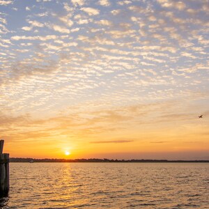 New Bern, North Carolina, Union Point Park, Photo Print