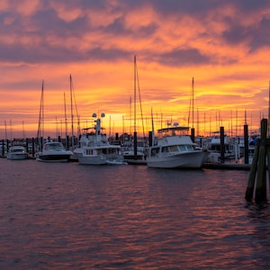 New Bern, North Carolina, New Bern Marina, Trent River, Photo Print