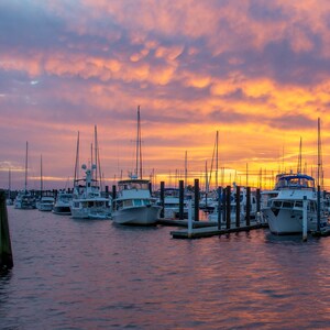 New Bern, North Carolina, New Bern Marina, Photo Print