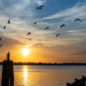 New Bern, North Carolina, Union Point Park, Neuse River, Photo Print