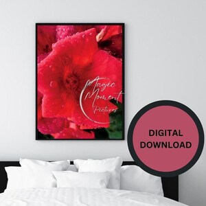 Flower Download-Trumpet Flower Wall Decor- Minimalist Flower-Trumpet Flower Digital-Printable Scenic Wall Decor-Plant Download-Photograph