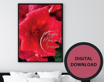 Single Flower Download-Trumpet Flower Wall Decor- Minimalist Single Flower-Trumpet Flower Digital-Printable Scenic Wall Decor-Plant Download