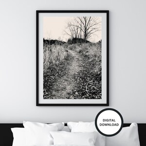 Könnte beinhalten: Ein Schwarzweißfoto eines Weges, der durch ein Feld mit hohem Gras und Bäumen führt. Der Weg ist mit abgefallenen Blättern gesäumt und die Bäume sind kahl.