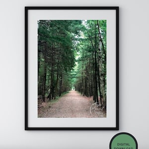 Tree Tunnel Photograph Instant Download - Road Less Traveled Wall Decor - Wilderness Trees Instant Printable -Landscape Forest Instant Print