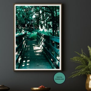 Photographie de pont frappant la lumière du soleil - téléchargement numérique de pont de pays - forêt tranquille imprimable instantanée - lumière du soleil dans la photographie de forêt