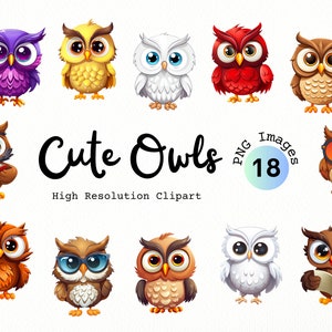 Corujas fofas clipart pacote de desenhos animados imagens PNG para download digital | Uso Comercial | Clipart de sala de aula | Corujas dos desenhos animados | Escola Clipart