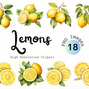 Lemons Clipart | 18 PNG Watercolor Images with instant digital download | Fruit Clip Art | Lemon Blossom | Citrus Clipart | Yellow Fruit
