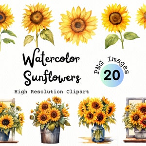 Sunflowers Clipart Watercolor PNG Images | Flowers In Vase | Floral Clipart | Sunflowers | Yellow Flowers | Wedding | Gardening Clipart