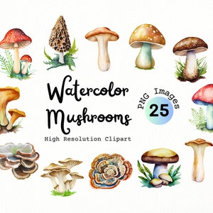 Watercolor Mushrooms Clipart Bundle - PNG format with transparent background | Nature | Magical Mushroom Forest Clip Art | Fairy Toadstool